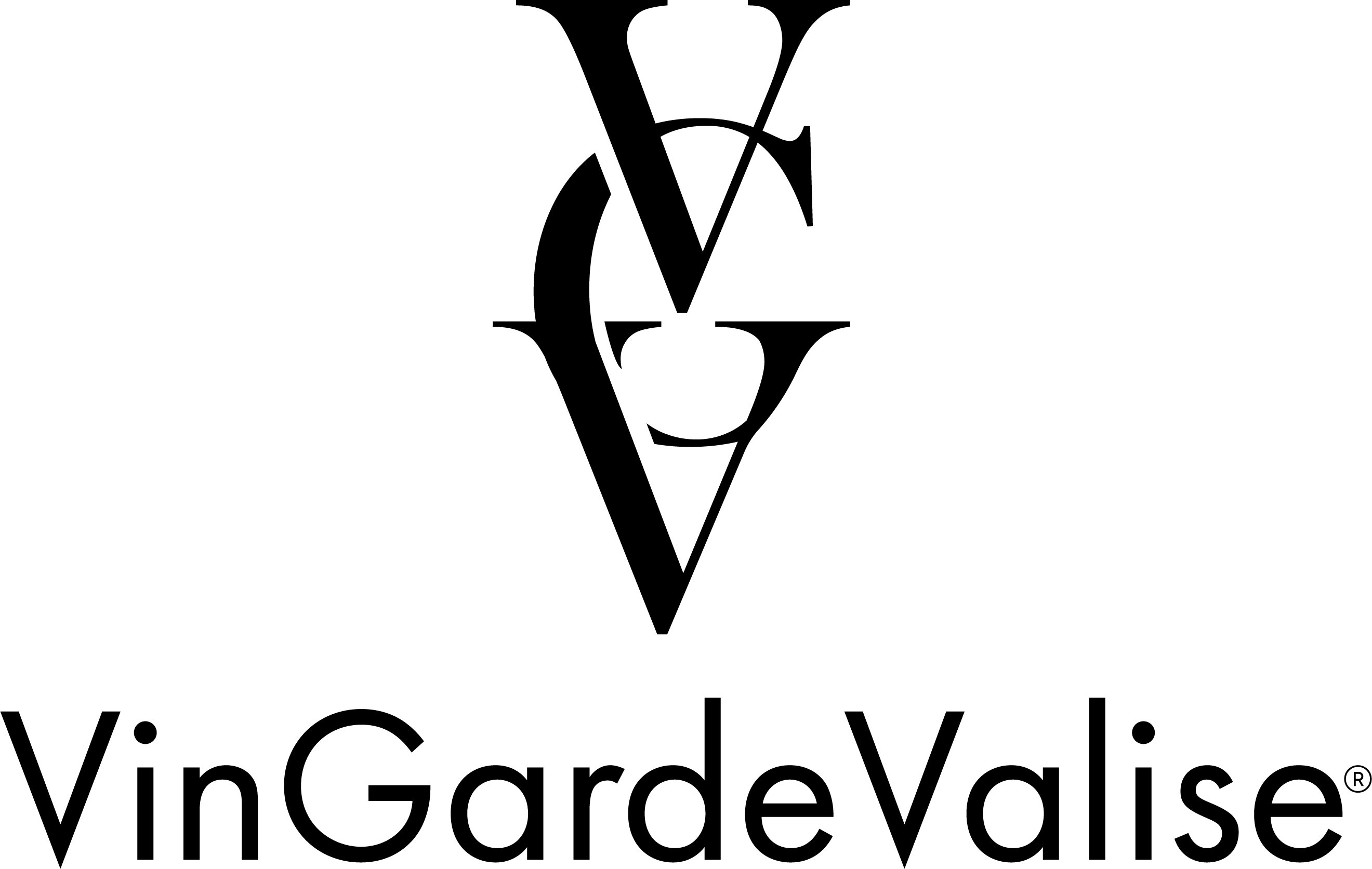 VinGardeValise 