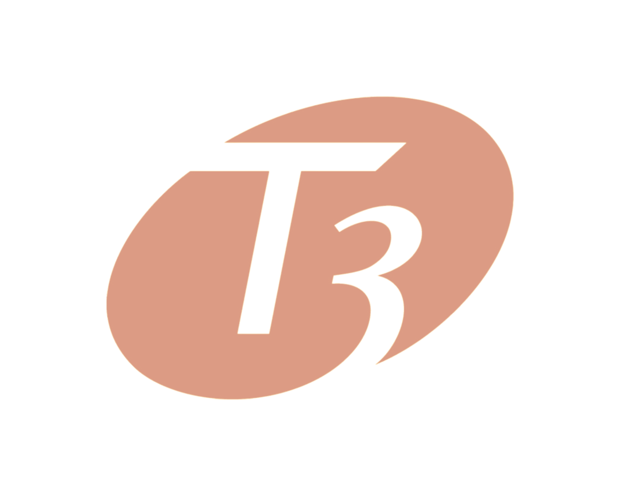 T3