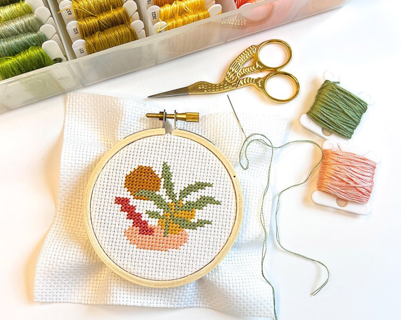 The Stranded Stitch Co.