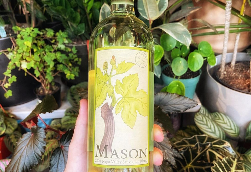 Mason Napa Valley Sauvignon Blanc