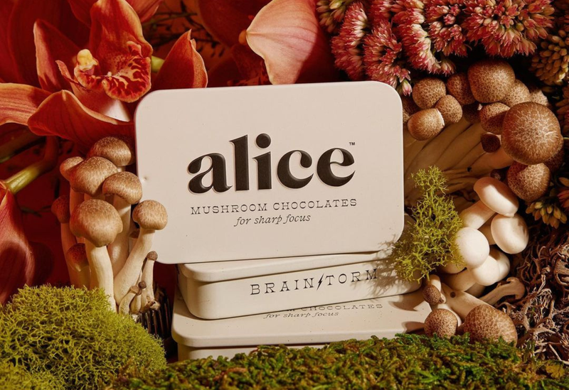 Alice Mushrooms
