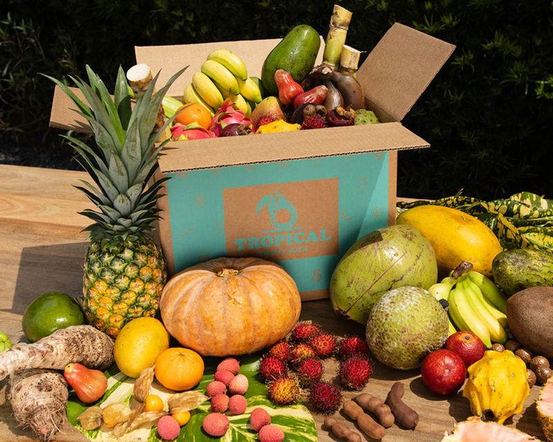 Tropical Fruit Box