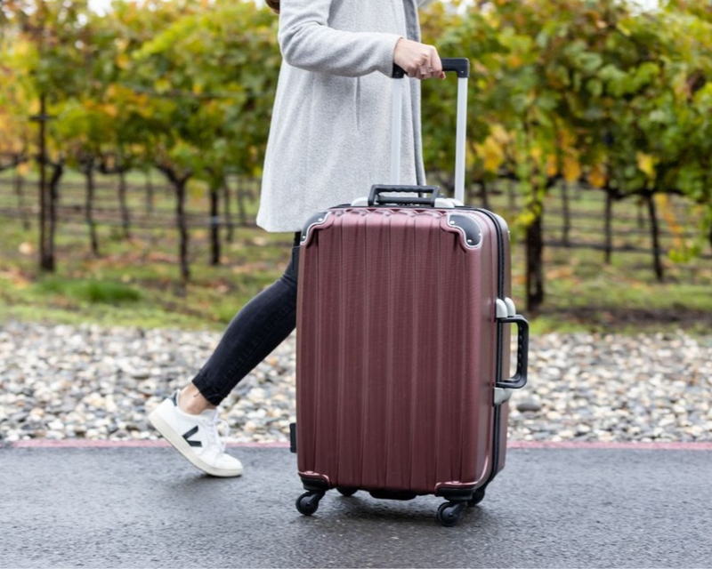 VinGardeValise