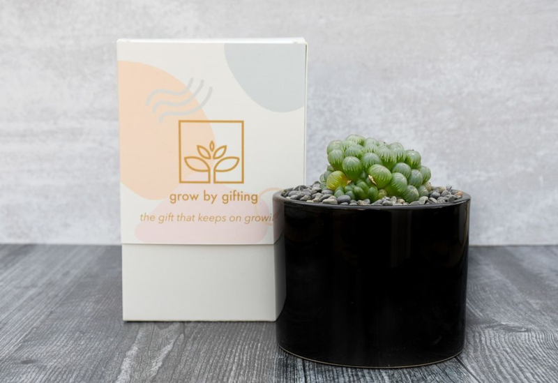 Grow By Gifting