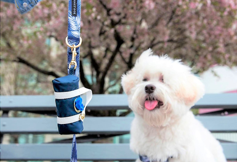 Boulevard Pets