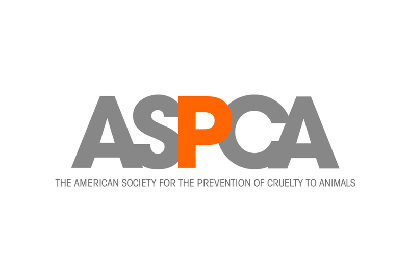 American Society for the Prevention of Cruelty to Animals