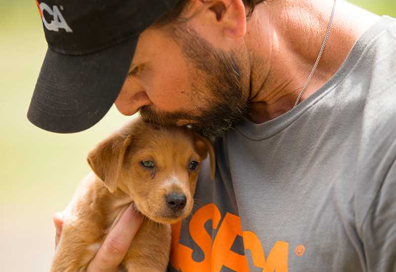 American Society for the Prevention of Cruelty to Animals