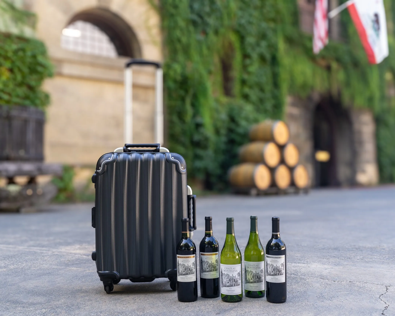 VinGardeValise