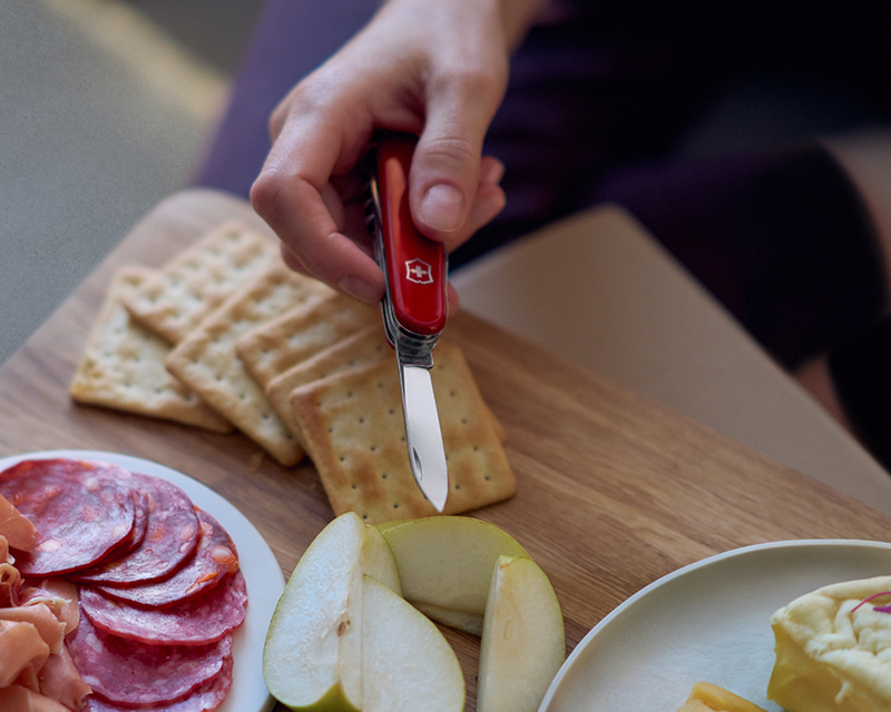 Victorinox