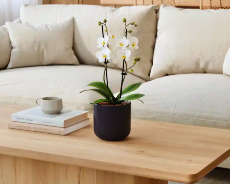 Easyplant