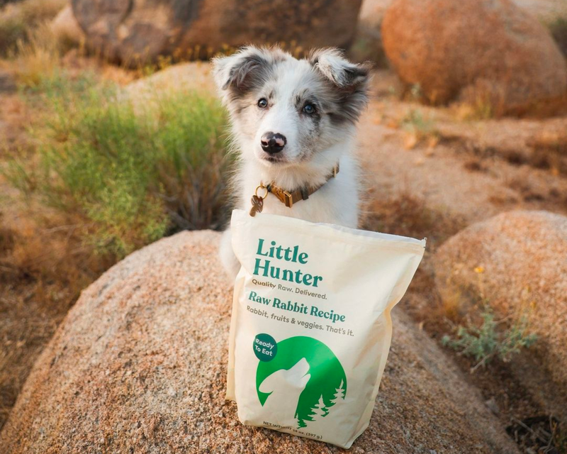 Little Hunter