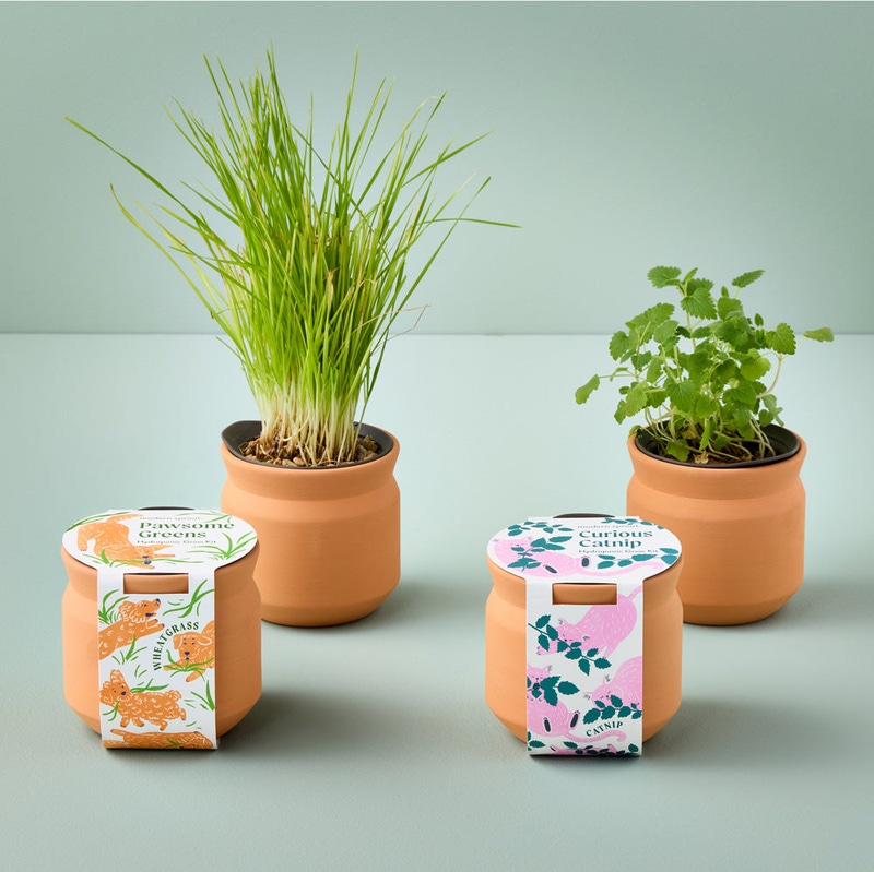 Pet Tiny Terracotta Grow Kit