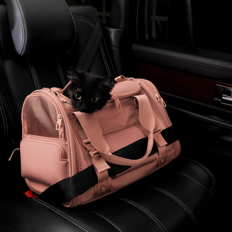 Kyoto Pet Carrier