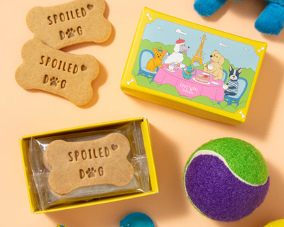 Dog Biscuit Mini Box