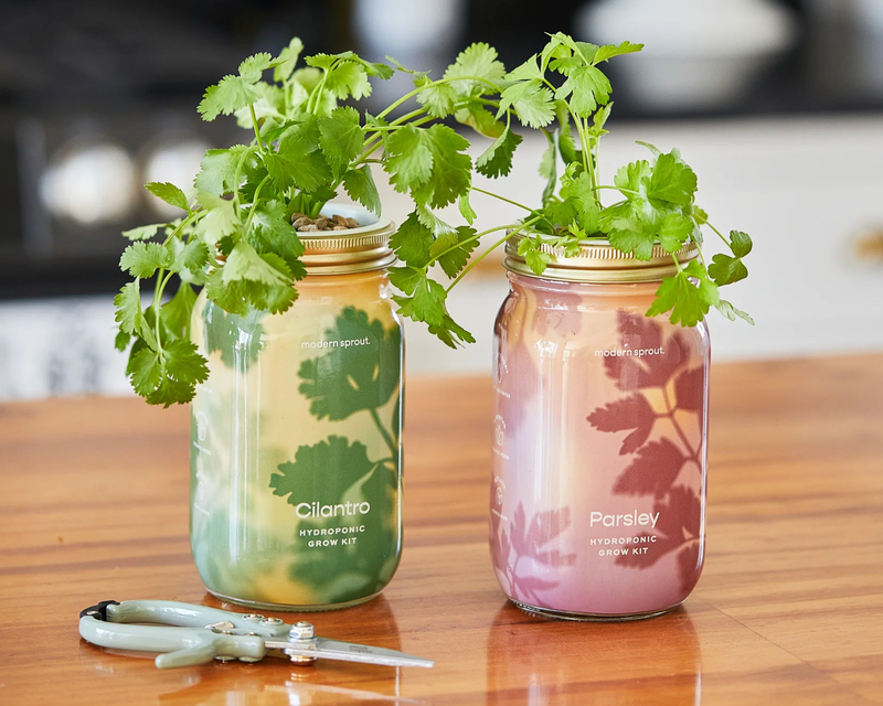 Herb Garden Jar 2-Pack