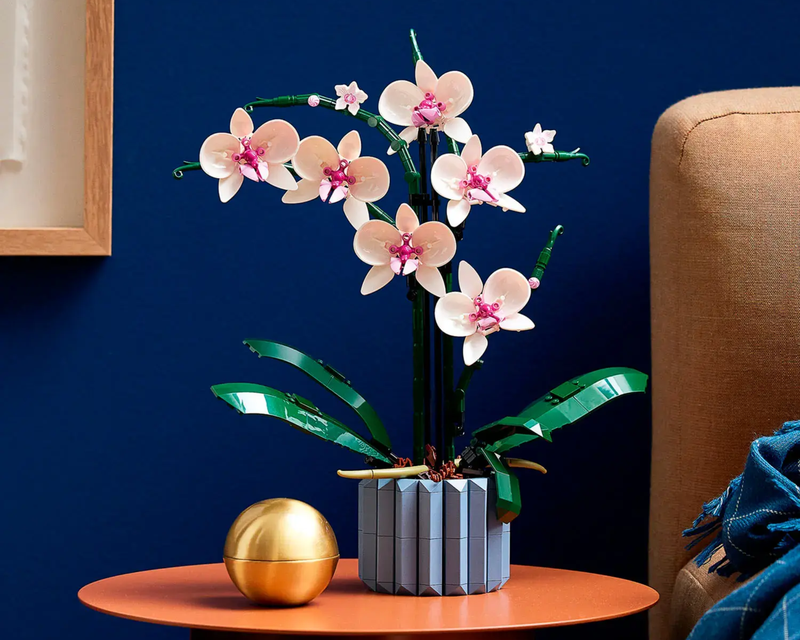 Botanical Collection Orchid
