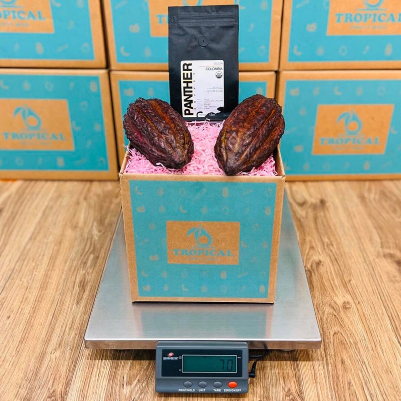 Cacao & Coffee Box
