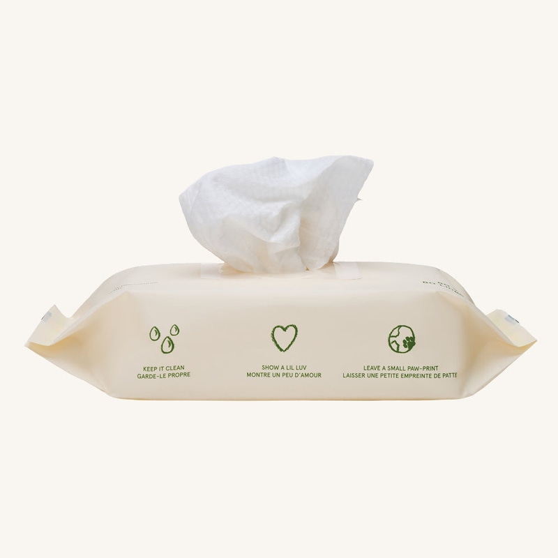 The Daily Wipe