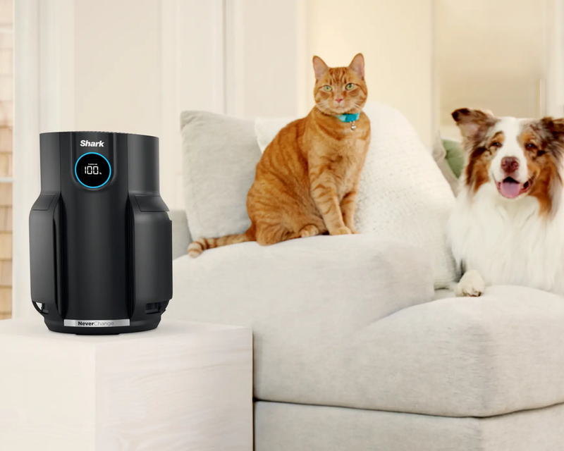 NeverChange Air Purifier