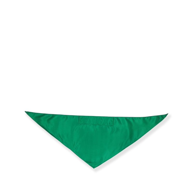 Large Pet Bandana
