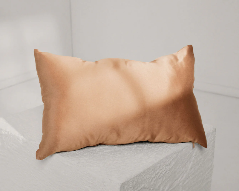 Washable Silk Travel Pillow