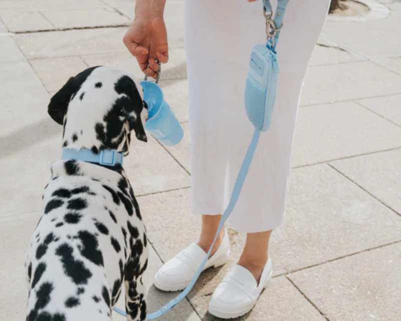 Classic Dog Travel Bottle, 22oz