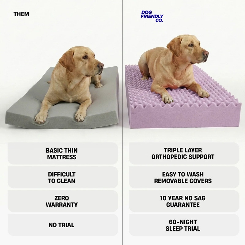 Large Orthopedic Memory Foam Dog Bed