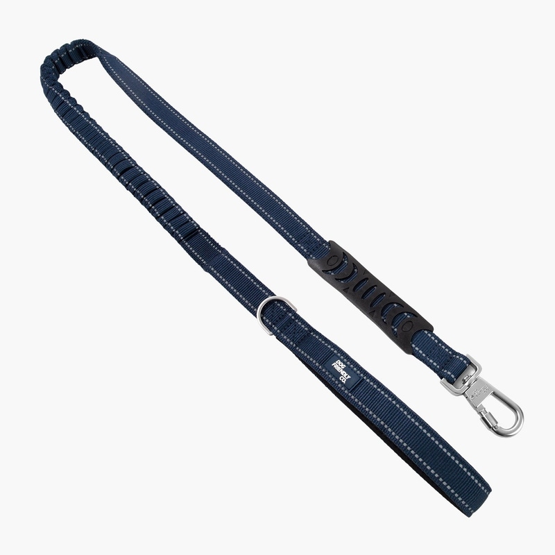 Bungee Dog Leash