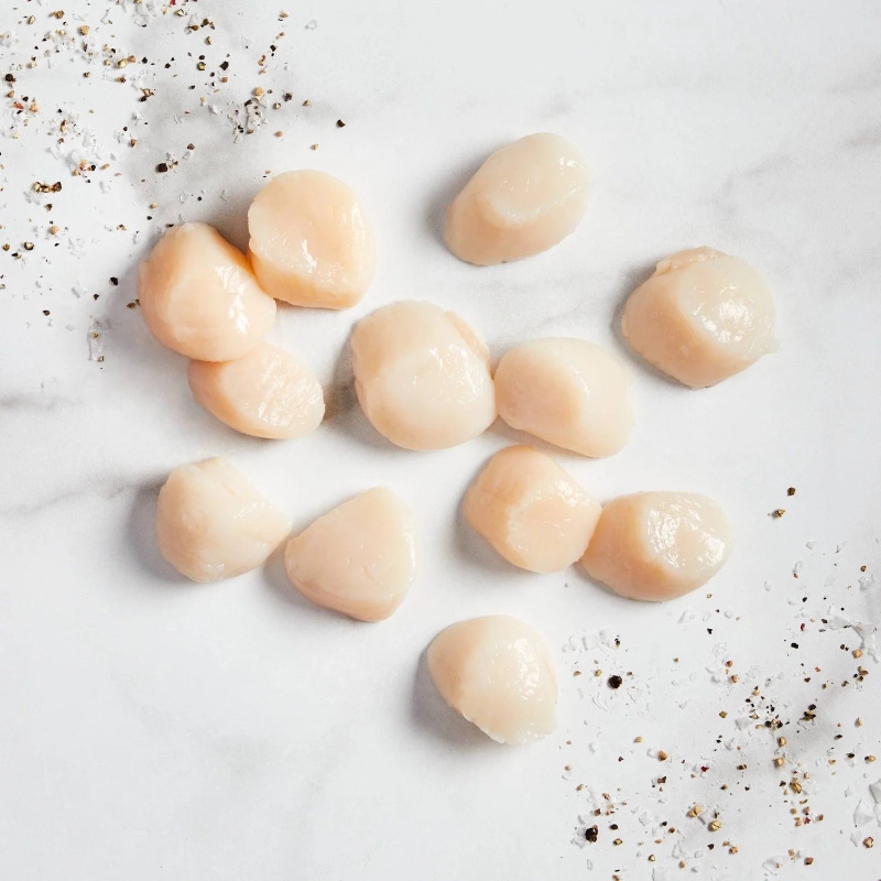 The Seafood Showcase Collection