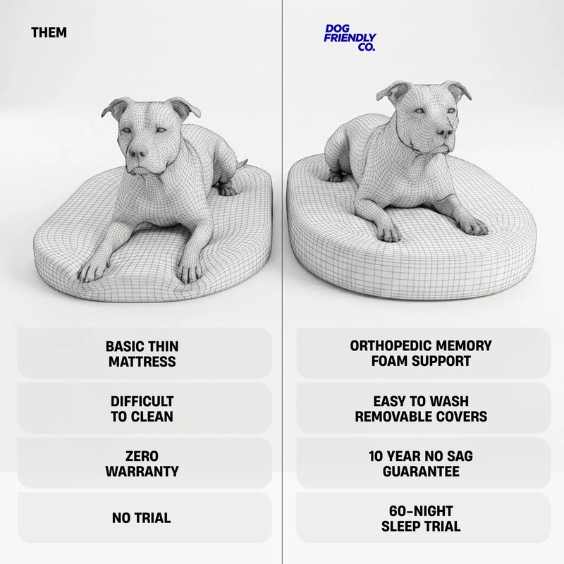 Medium Chill Pill Memory Foam Dog Bed