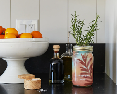 Herb Garden Jars