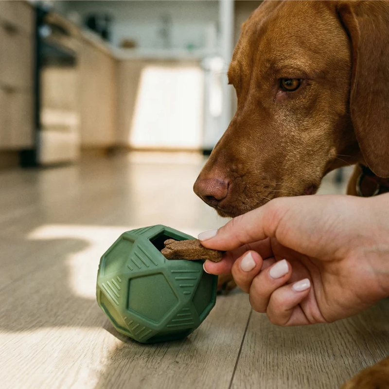 Penta Ball Dog Toy