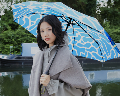The Daily Umbrella