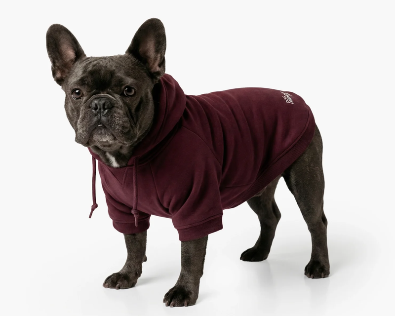 Winter Dog Hoodie