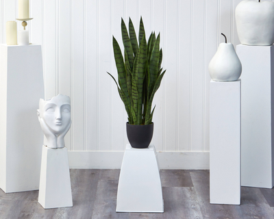 Faux Snake Plant