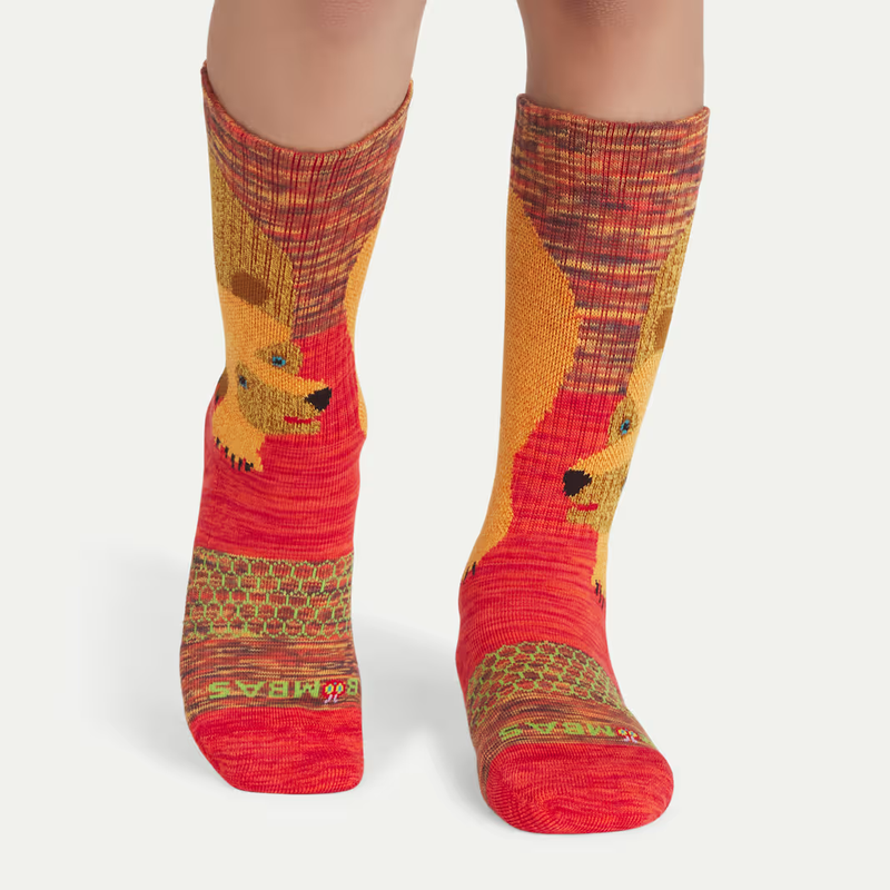 Youth Eric Carle Calf Sock 4-Pack Gift Box