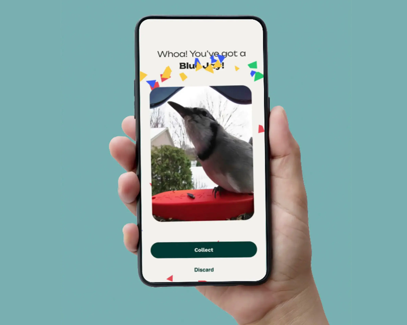 Smart Bird Feeder with Solar Roof