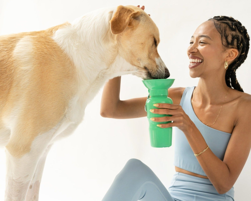 Classic Dog Travel Bottle, 22oz