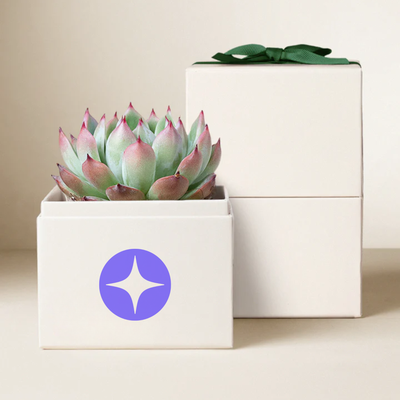 Branded Bliss Garden