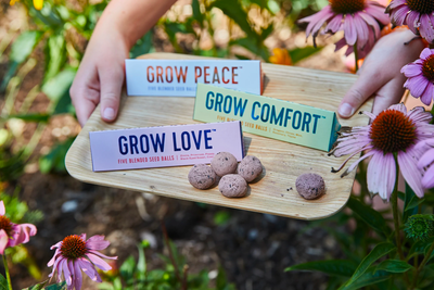 Bright Side Seed Balls
