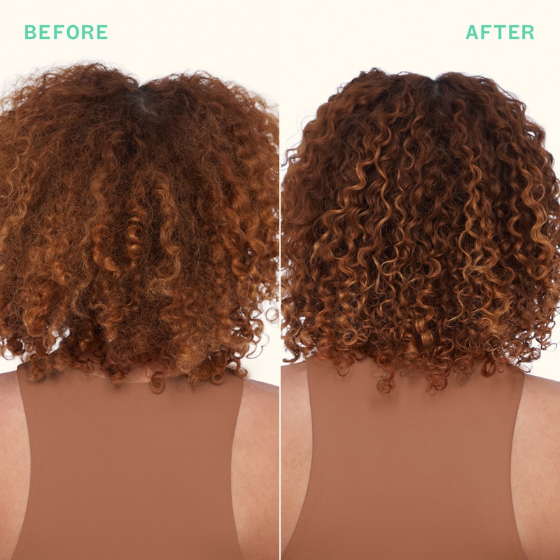 Mane Menders Strength Repair Wash + Care Set