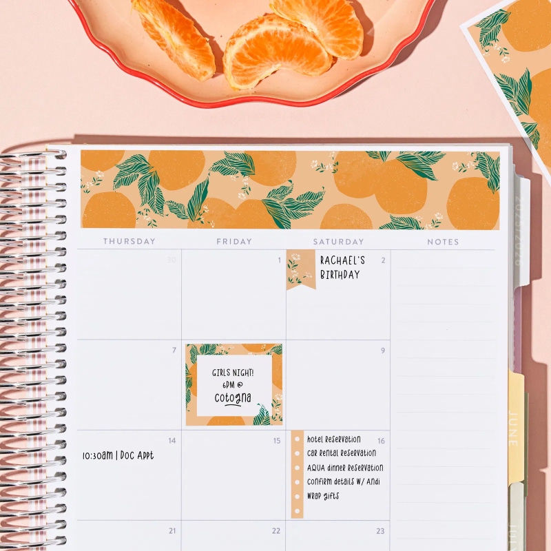 Orange Citrus Glow Notebook Bundle