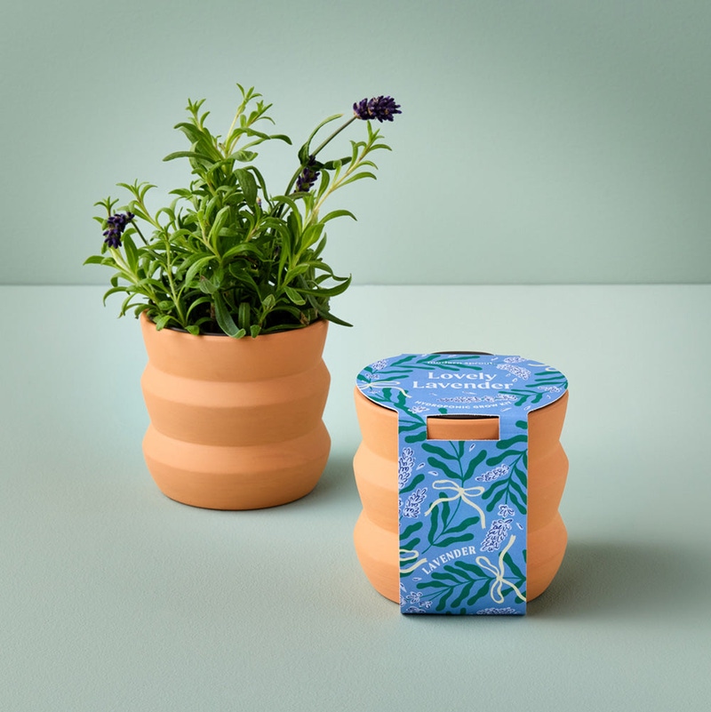 Tiny Terracotta Grow Kit