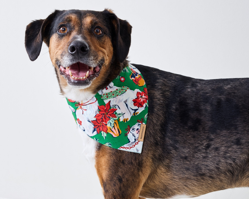 Small Pet Bandana