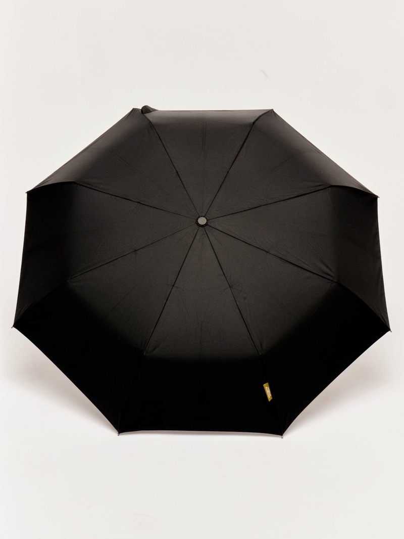 The Daily Umbrella