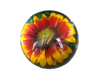 Sphere Magnet Picture Frame