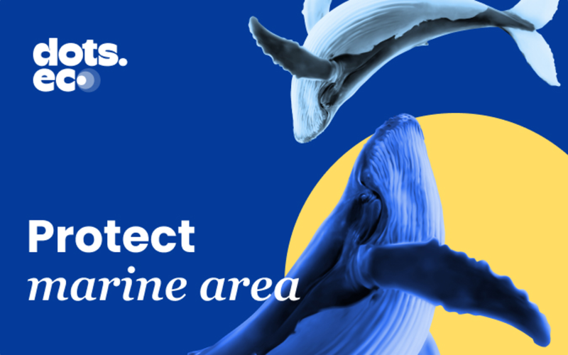 PROTECT OF MARINE AREA UK