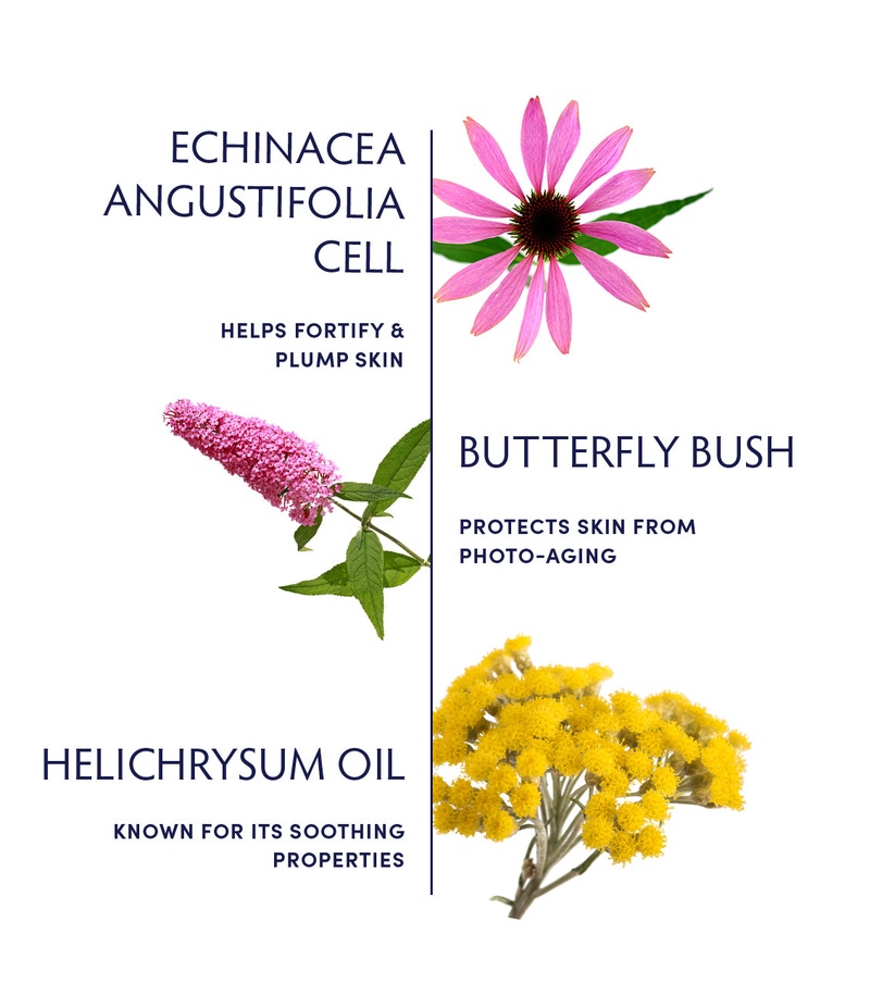 Plant Cell Booster Serum