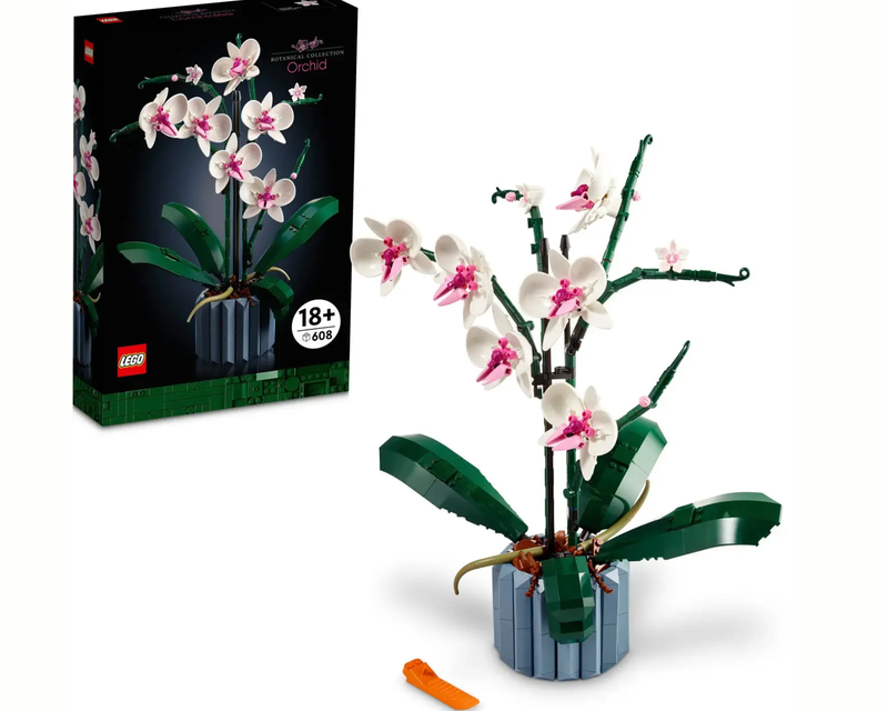 Botanical Collection Orchid