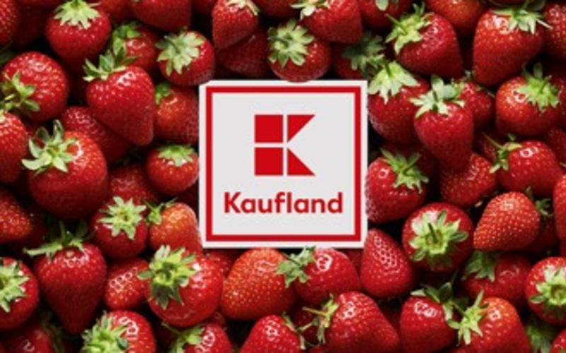 Kaufland Germany